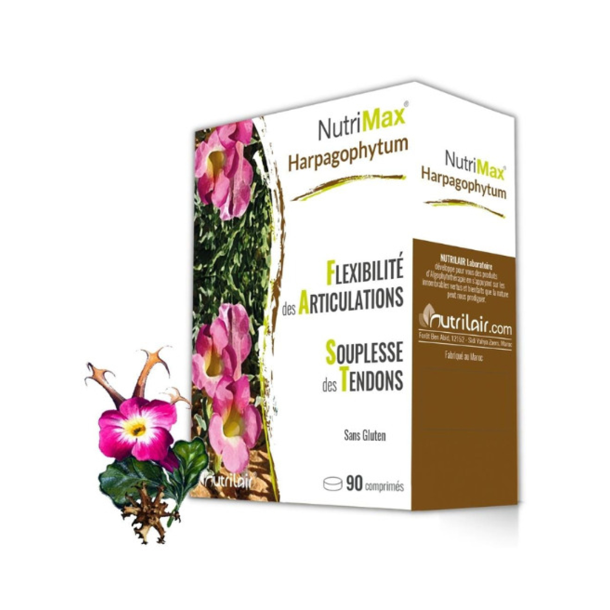 NUTRIMAX harpagophytum 90 comprimés – Image 1