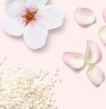 THE RITUAL OF SAKURA Crème corps 70ML – Image 2